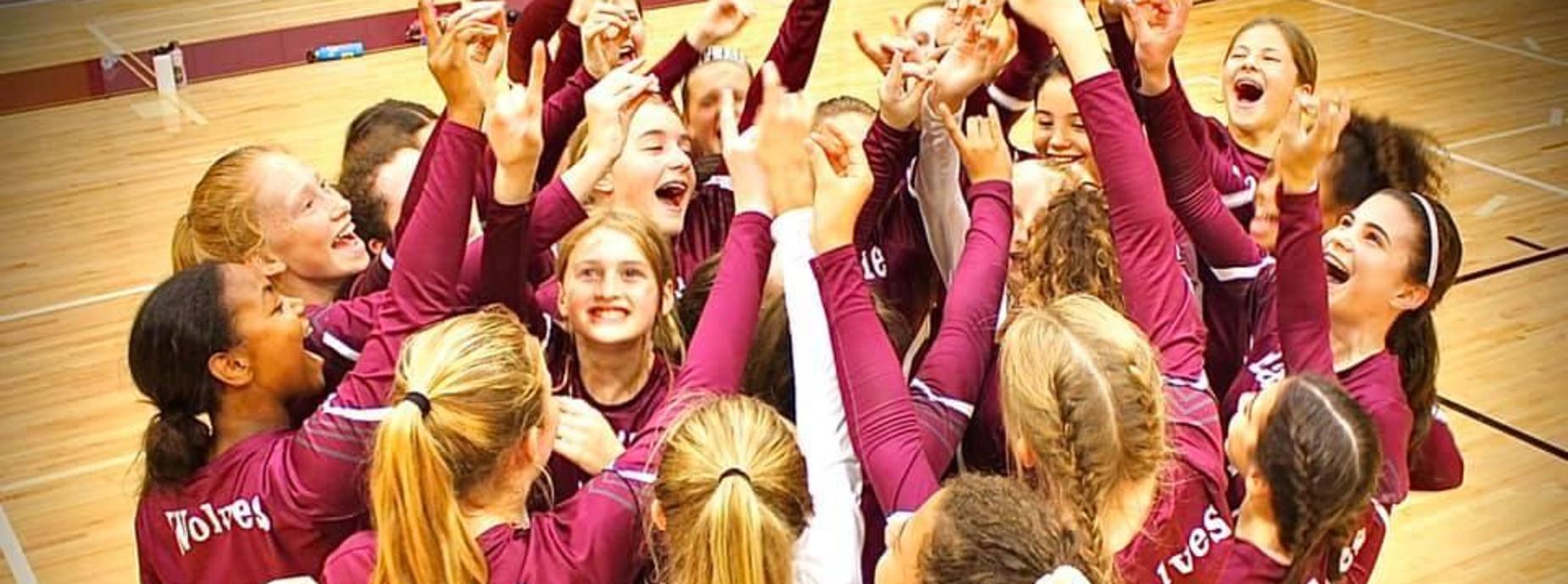 Volleyball team celebrating