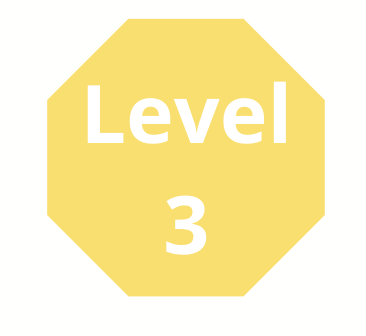 level 3