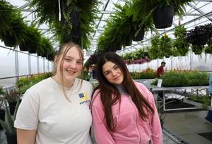 Students in the greenhouse