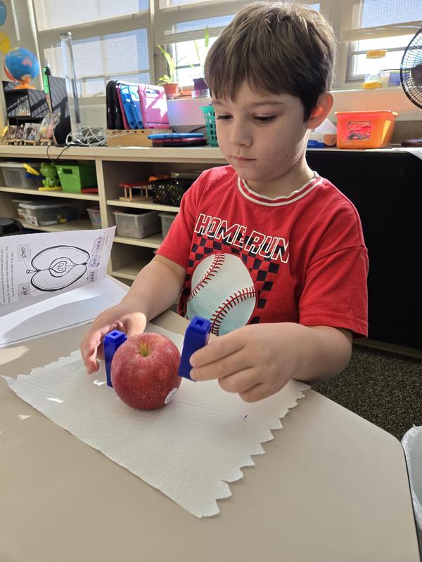Students help find the prized apple