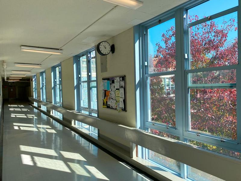 The hallways of NEST+m are sunny and bright.