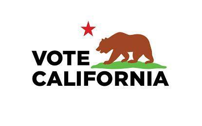 Vote California / California Flag Insignia