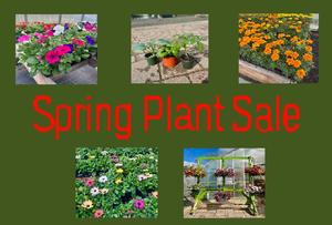 Spring Plant Sale