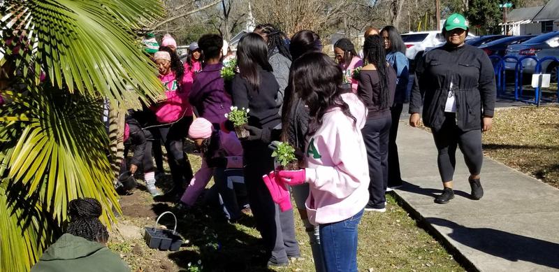 Ladies of IOTA KAPPA Chapter of AKA planting flowers at MBAC.