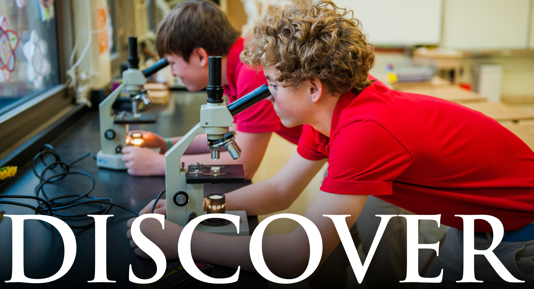 Discover
