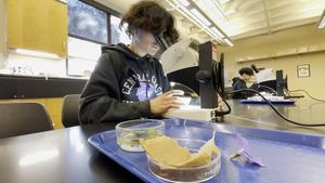 Central Coast Allied Health Tour