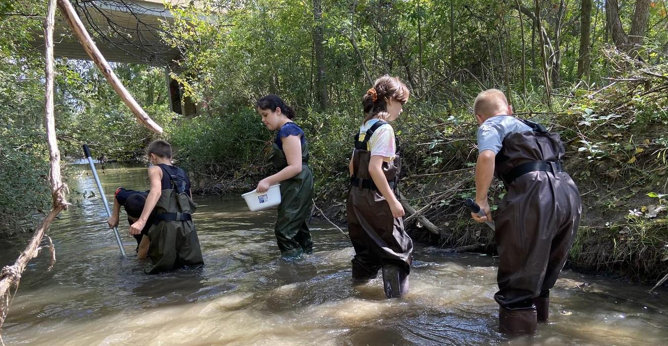 Insect class students take a field trip to the nearby creek to study water insects.