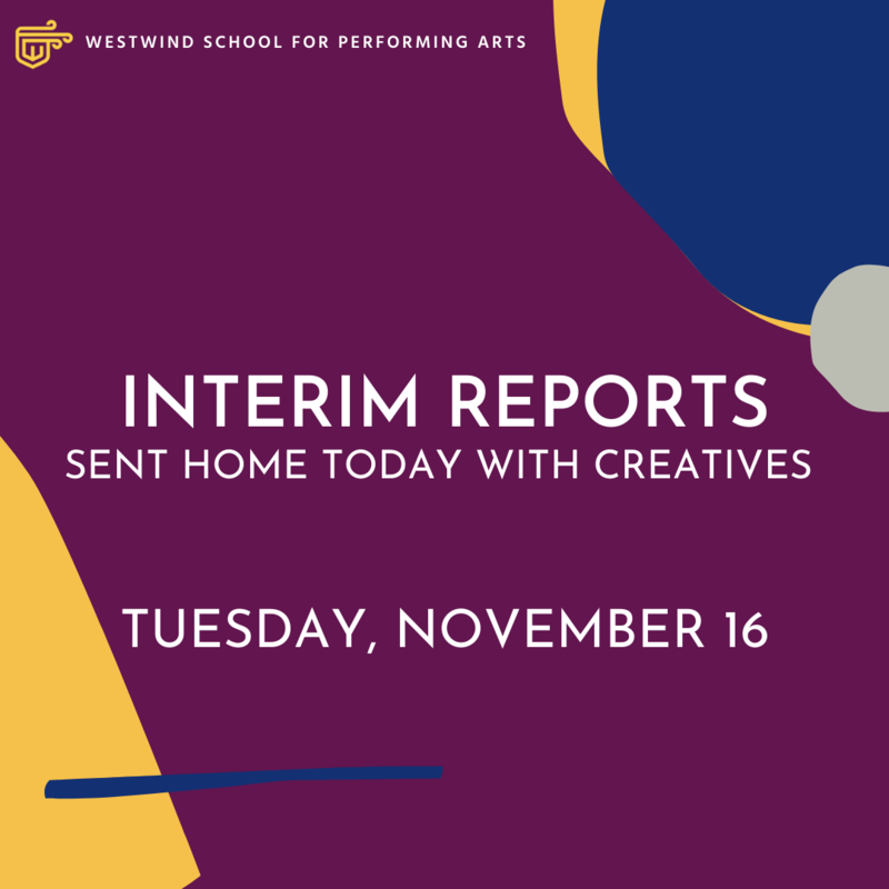 Interim Report