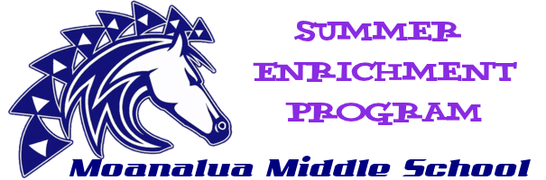 Summer Enrichment Icon