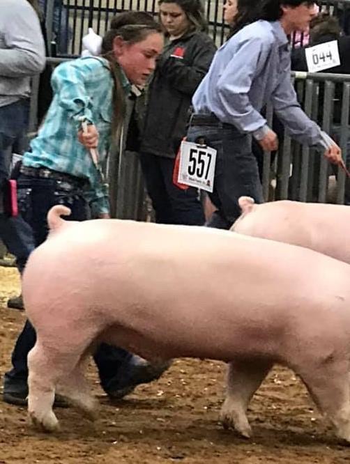 PIG SHOW