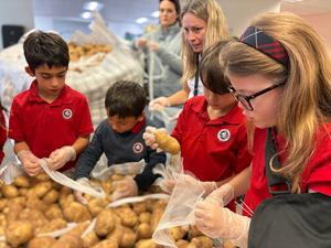 2nd grade student packing potatoes for homeless