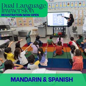 a teacher in a classroom full of students learning mandarin