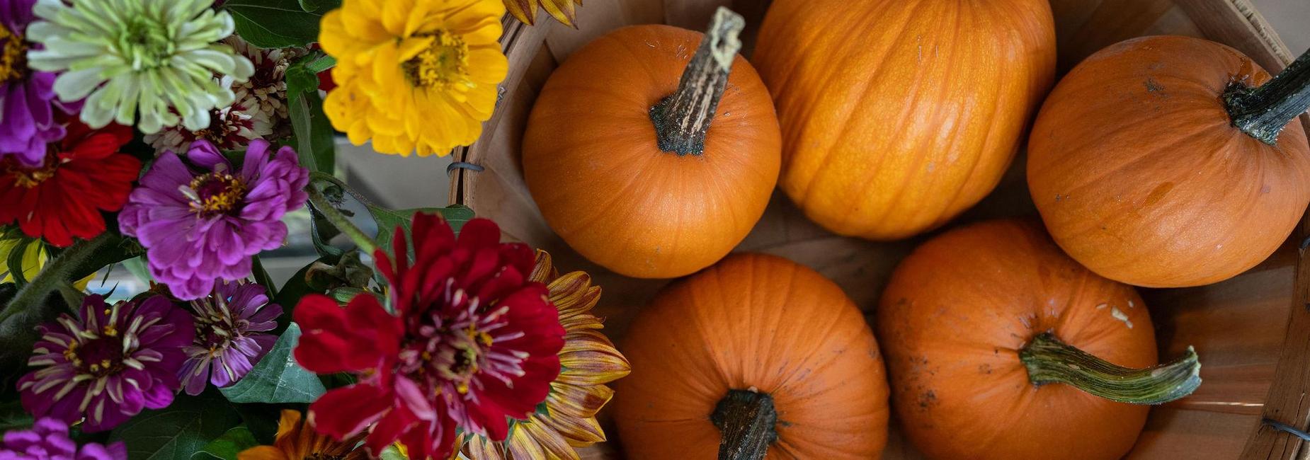 Basket filled with orange pumpkins and colorful flowers.