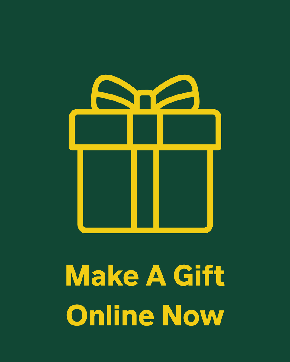 Donate Now Icon