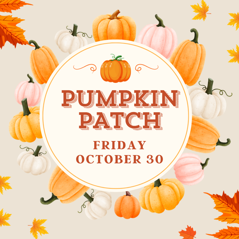 pumpkin patch