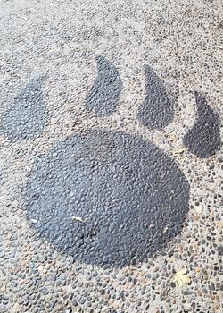 Sidewalk art