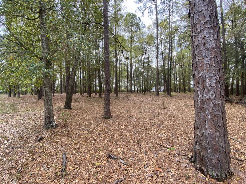 FSW Acquires 2.8 Acres of New Green Space Featured Photo
