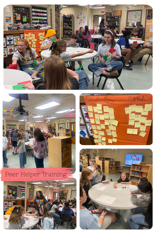 Peer Helper training
