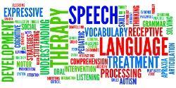 Speech and Language Pathologist Wordle to show how this profession works.