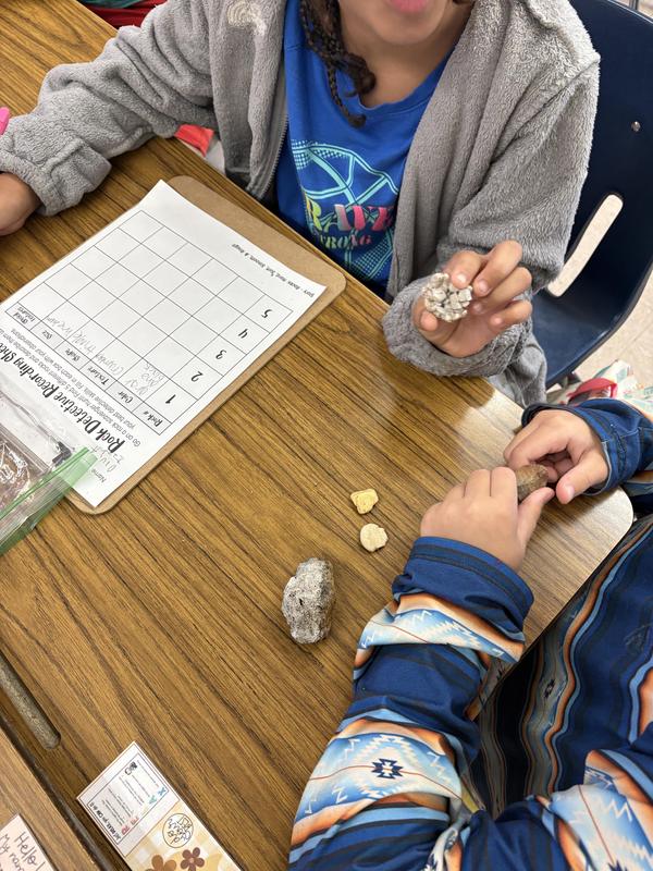 Rock Detectives