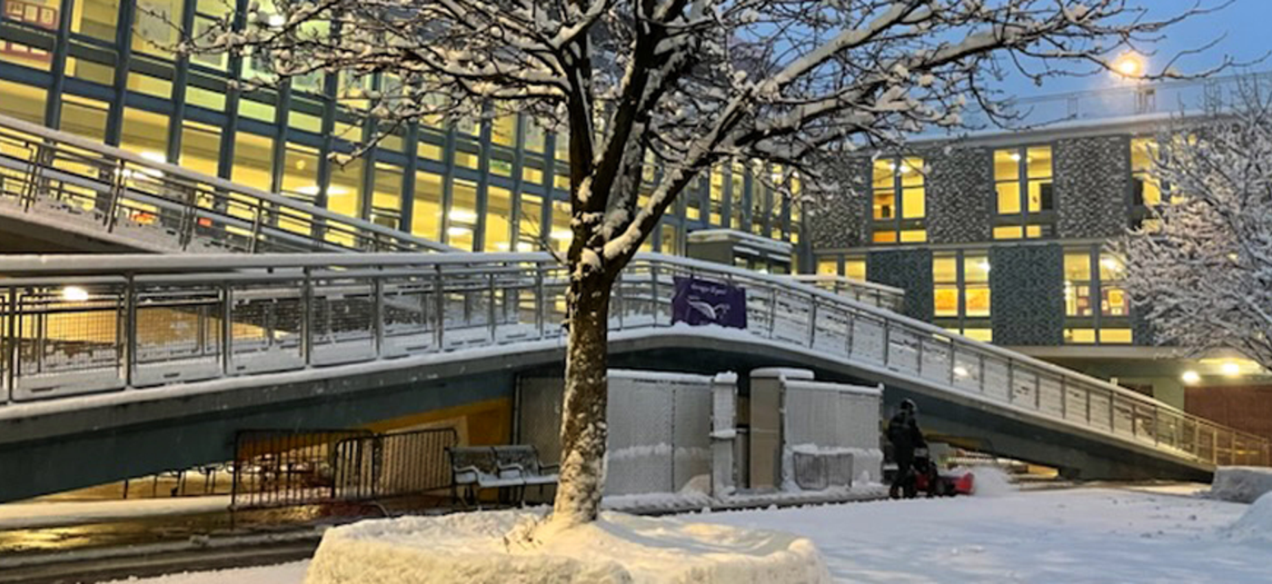 Photo of Courtyard blanketed by recent snowfall.