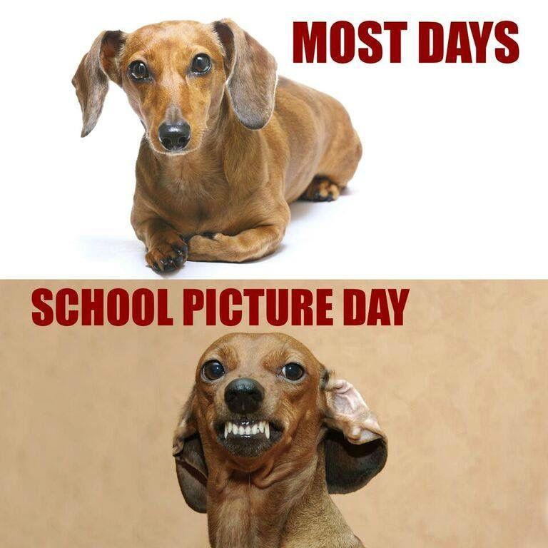 Dog announcing picture day