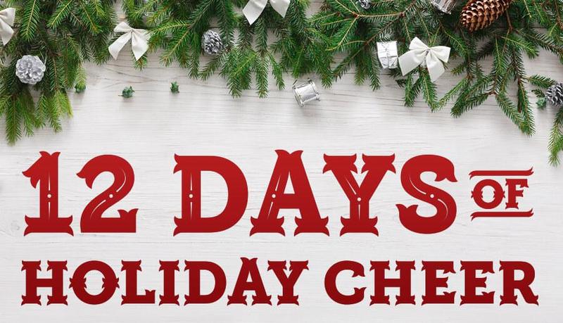 12 Days of Holiday Cheer