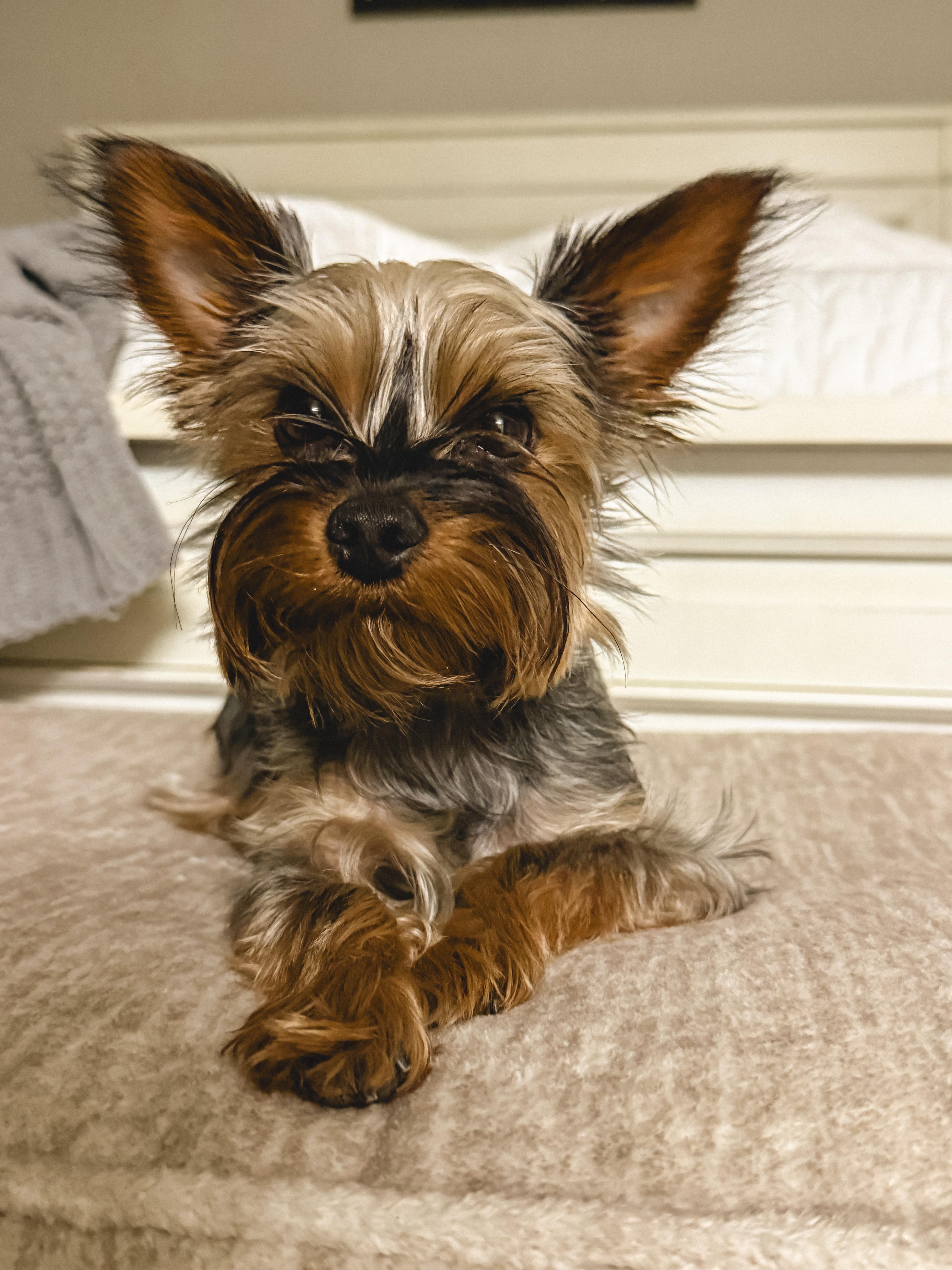 Axel