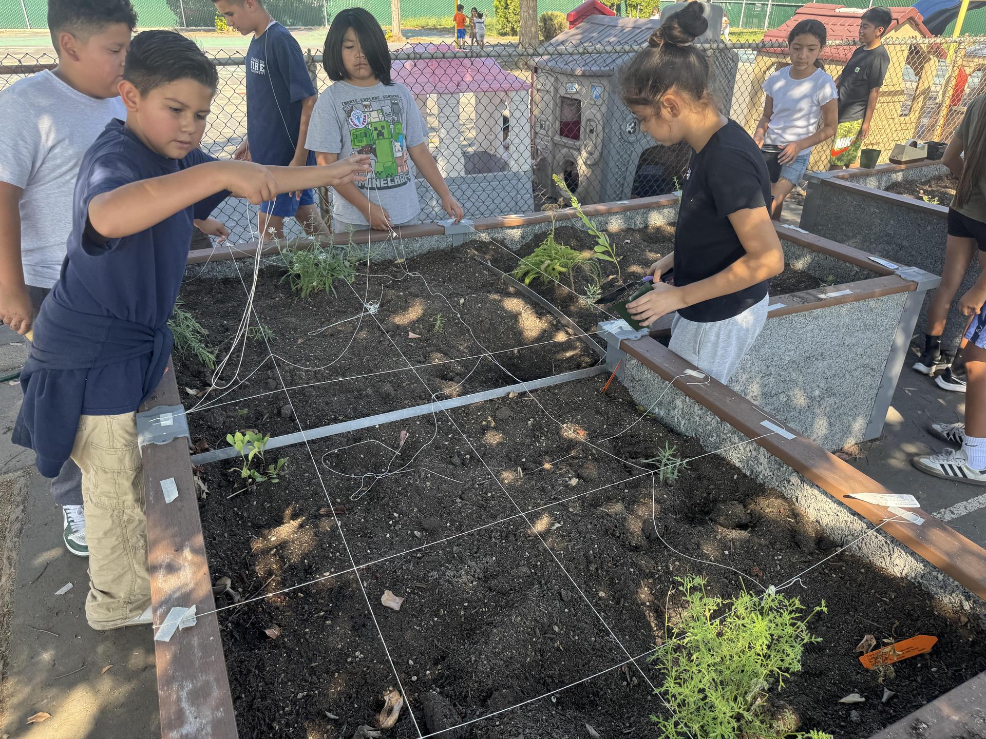 Lorne's Monarch Butterfly Sanctuary Garden
