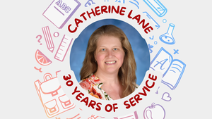 Picture of catherine lane with school materials surrounding her head honoring her 30 years of service