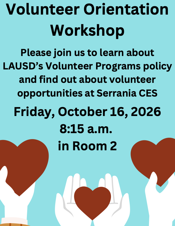 Volunteer Workshop