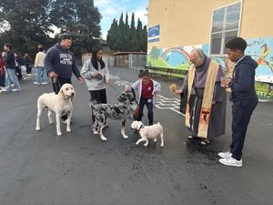 St Francis Blessing of Animals
