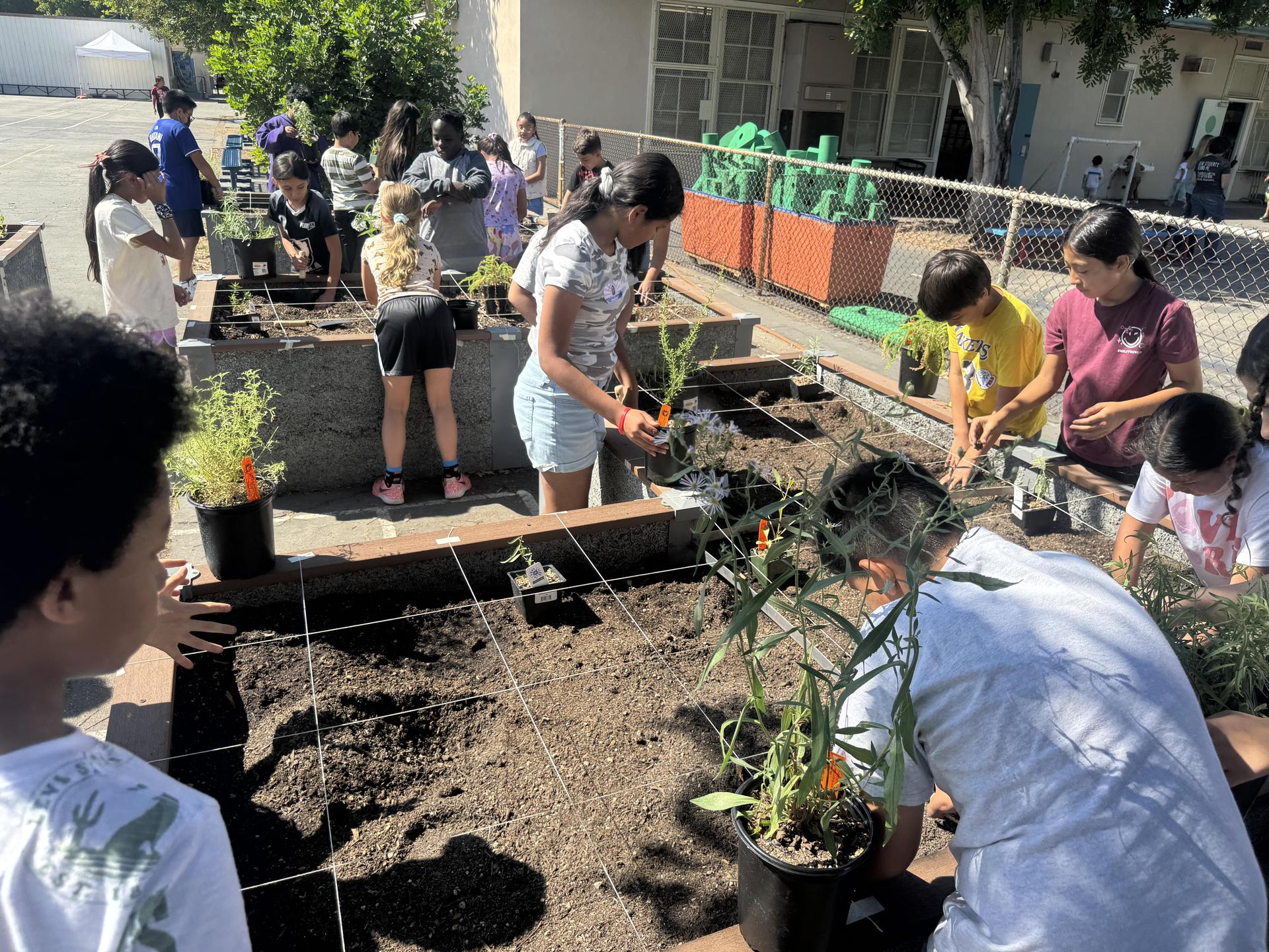 Lorne's Monarch Butterfly Sanctuary Garden