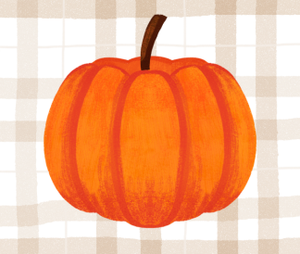 Orange pumpkin in front of a white and brown plaid background