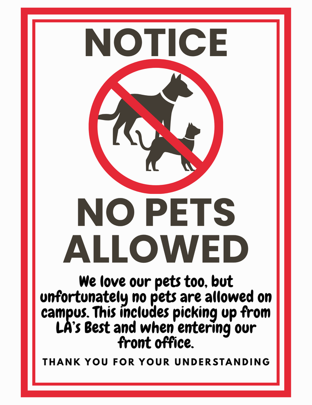 No Pets Allowed