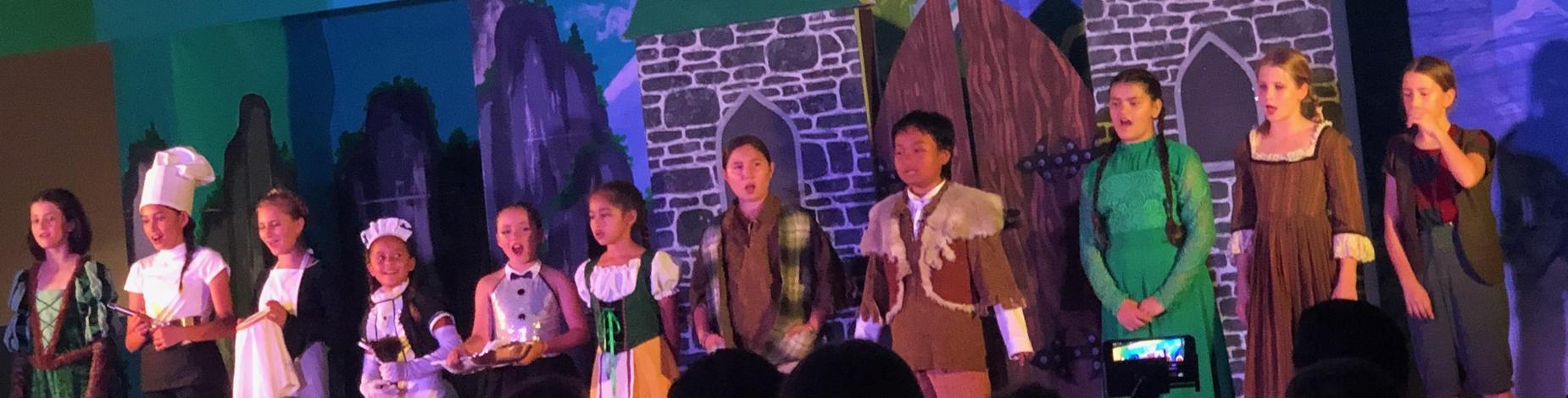 Frozen Villagers