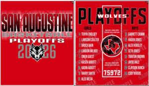 Basketball Playoff SHirt
