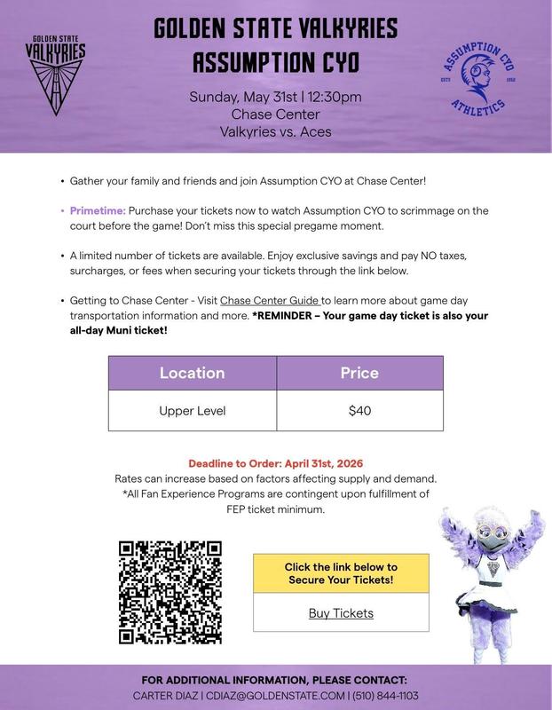 Join us at a WNBA Valkyries Game!