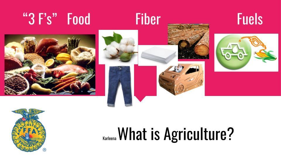 3 F’s of Agriculture Food, Fiber Fuel