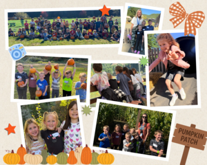 Pumpkin patch collage
