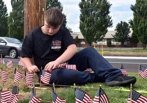 A person is seated, attaching American flags into the grass.