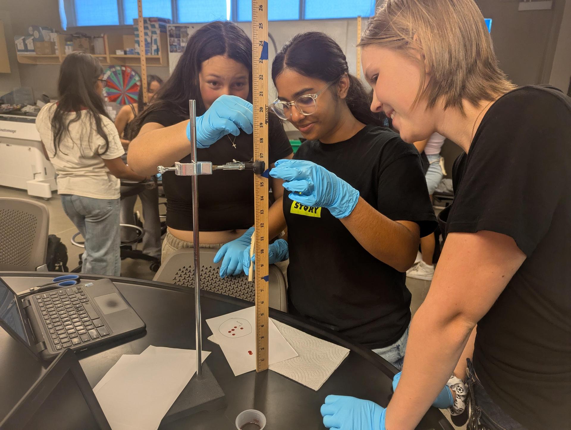 Our amazing Biomed students hard at work