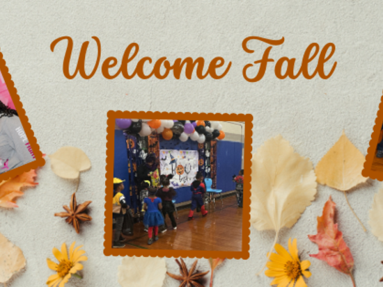 School fall district