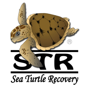 STR: Sea Turtle Recovery
