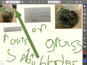 Blogging Helps Plants and Writers Grow