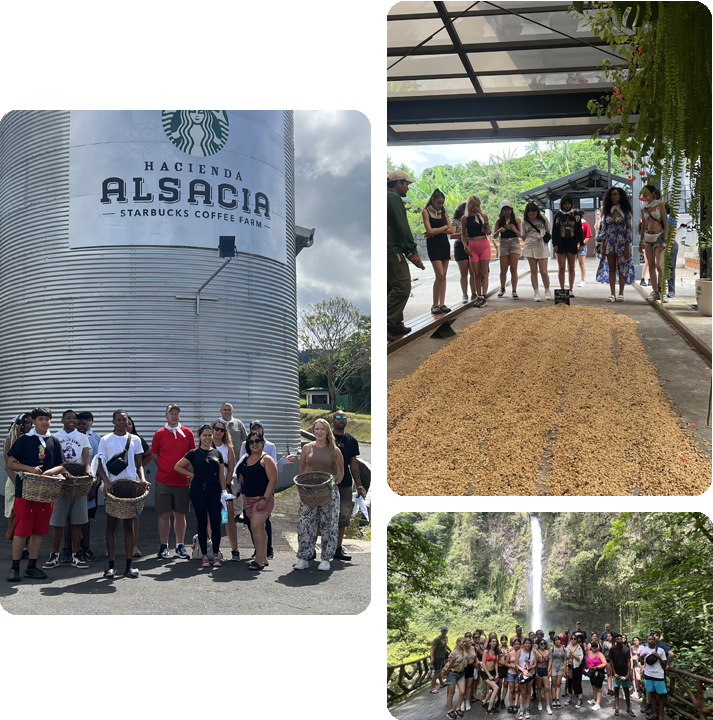 Smiling high school graduates in navy blue caps and gowns standing in line during a graduation ceremony.