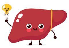 Liver Light Bulb.JPG