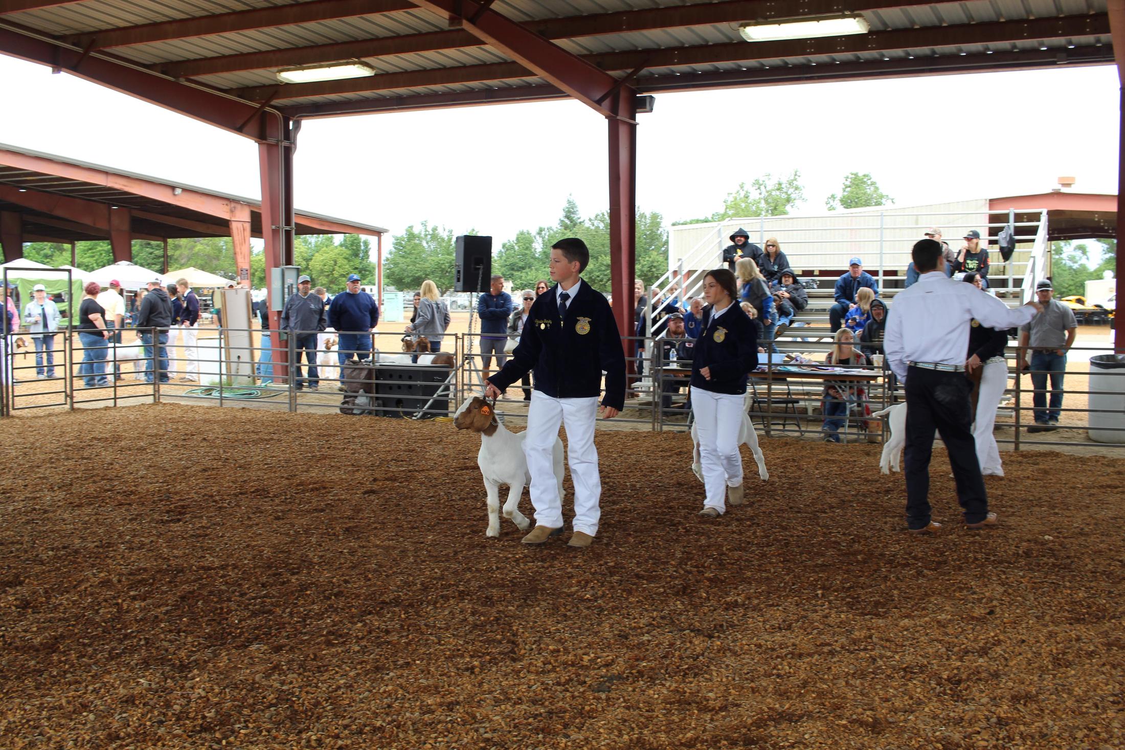 Chowchilla Fair and Parade, May 1419, 2019 CUHS Videos & Photos