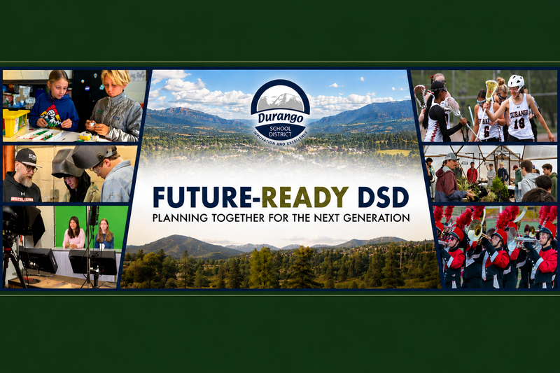 Thumbnail of Future-Ready DSD website page