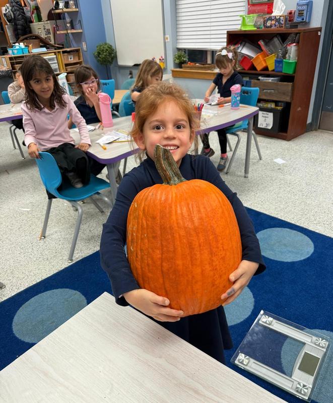 a kindergarten student holds a giant pumpkin.